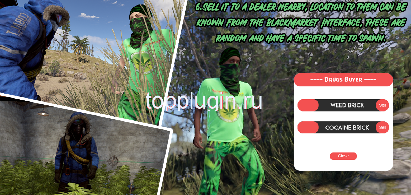 1675715834338.png