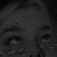 dnwmi