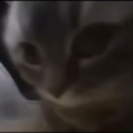 asdsdaasdasd