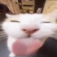 xcoln1