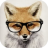 hunterfox