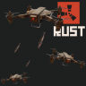 Drone Strike