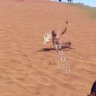HitMarker
