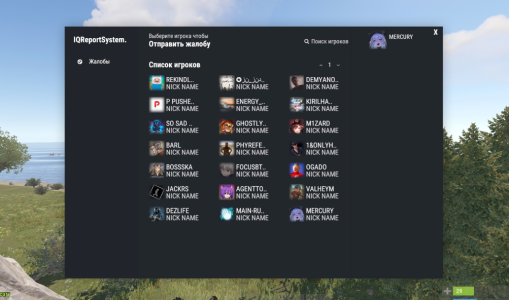 IQReportSystem