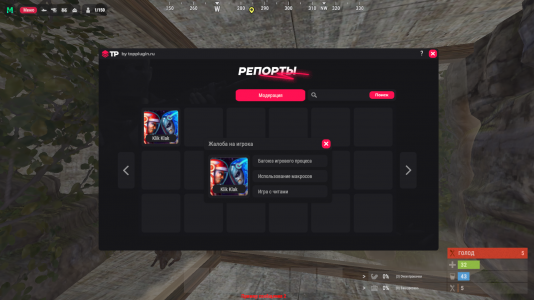 TPReportSystem